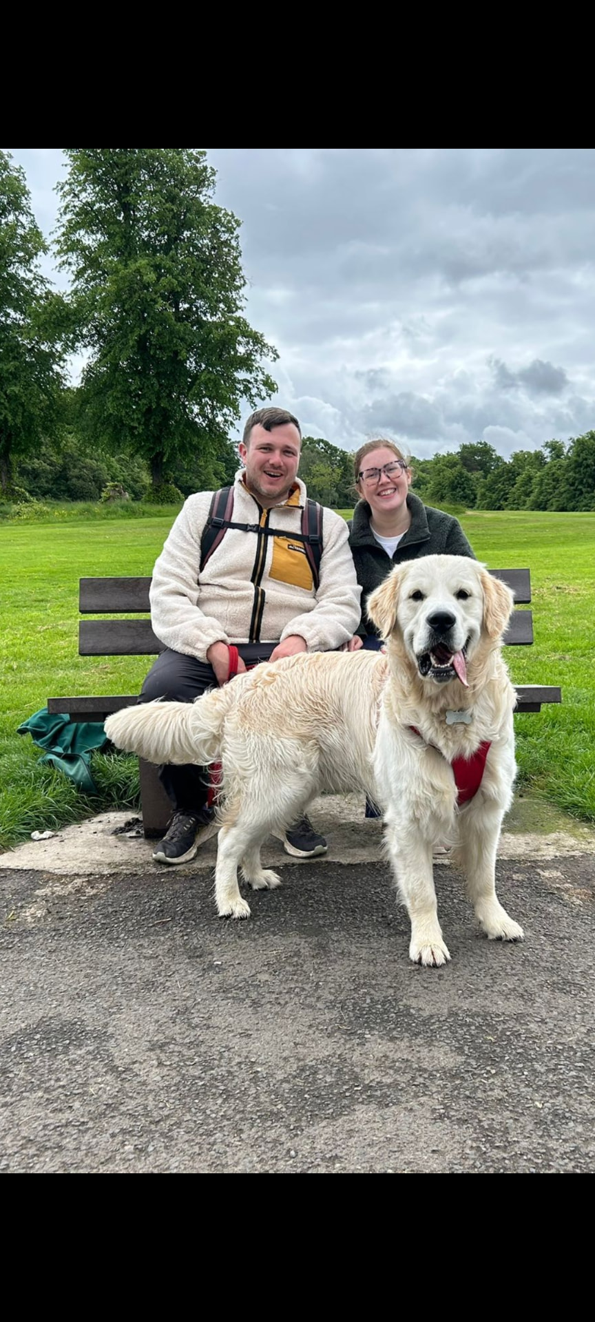 Couple sitting on a park bench with their golden retriever in Glasgow