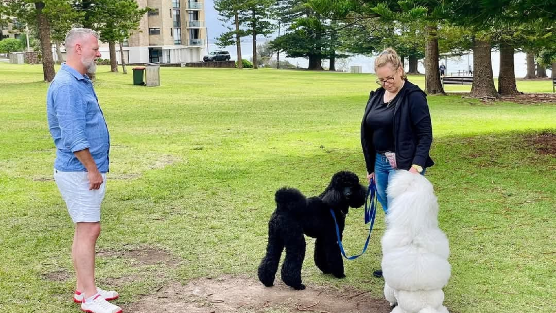 Trainer coaching an owner with two dogs on lead at a safe distance during a reactivity session