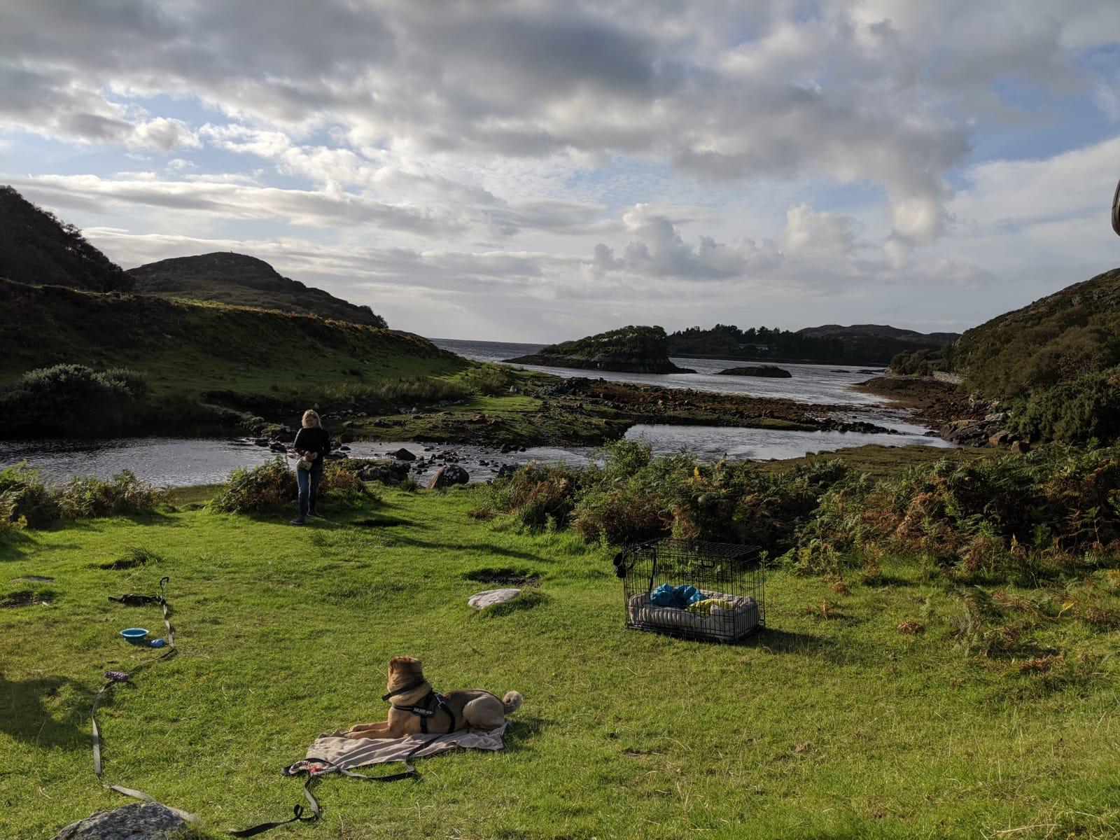 Dog settled on a blanket beside a west coast sea loch during a relaxed day out
