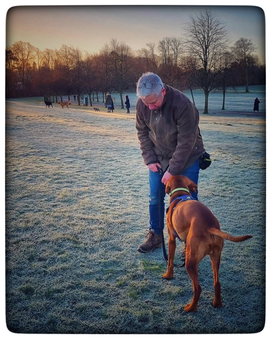 Owner walking a Rhodesian ridgeback in a frosty Glasgow park at sunset
