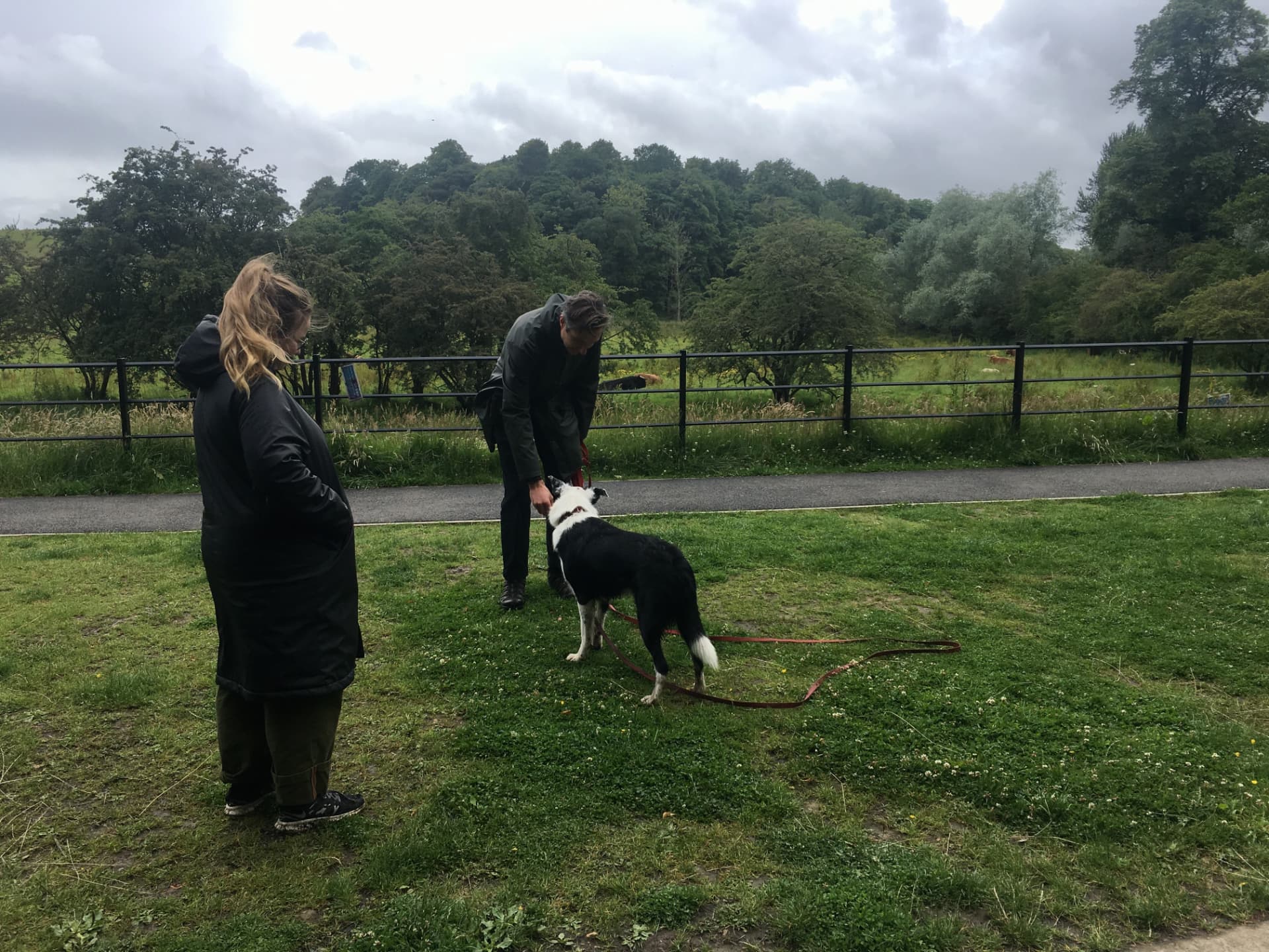 John McGuigan working a border collie on a long line in a field beside a fence near Glasgow
