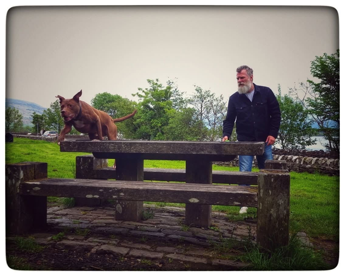 Trainer rewarding a brown dog for hopping onto a picnic bench beside a loch