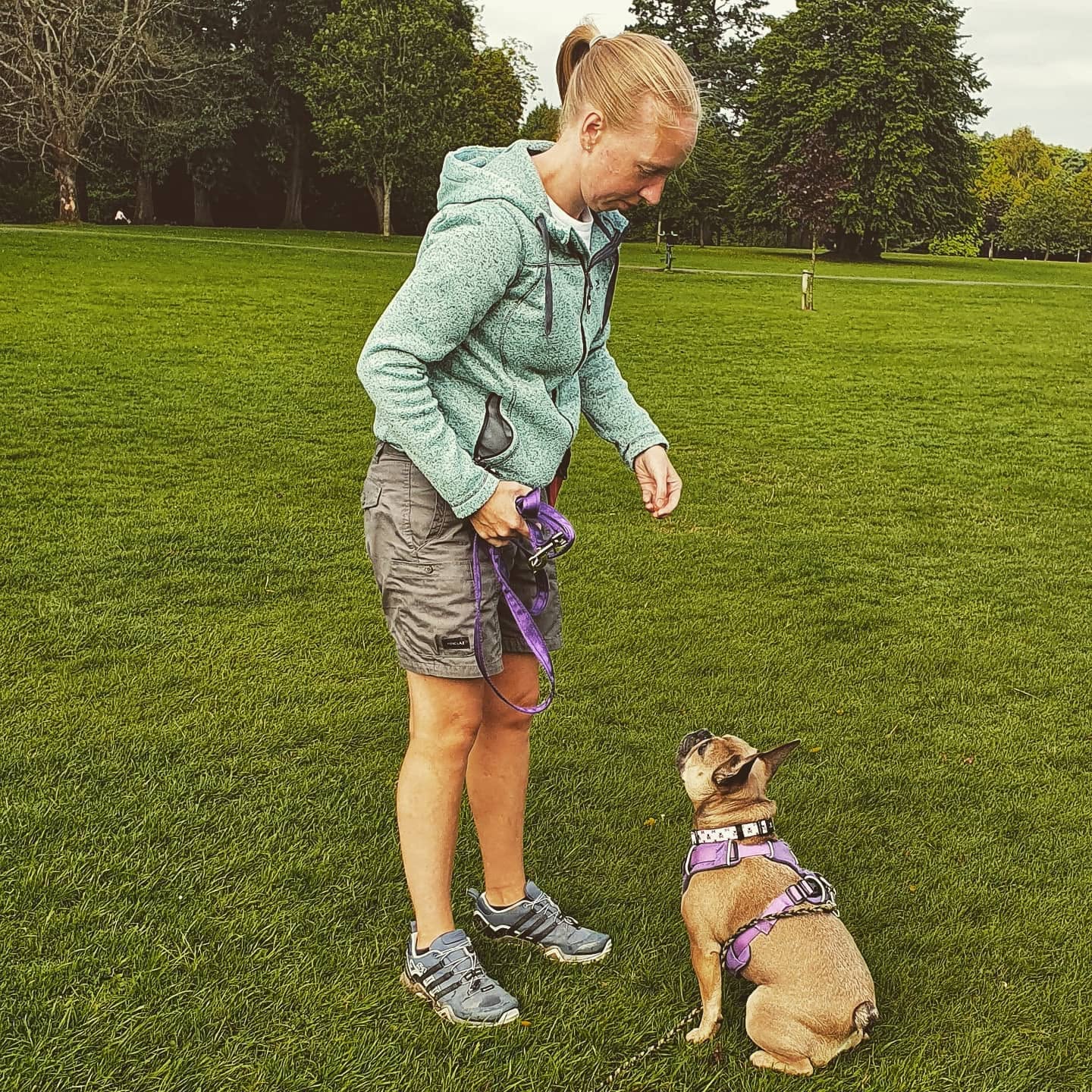 Owner working with a French bulldog sitting on the grass in a Glasgow park