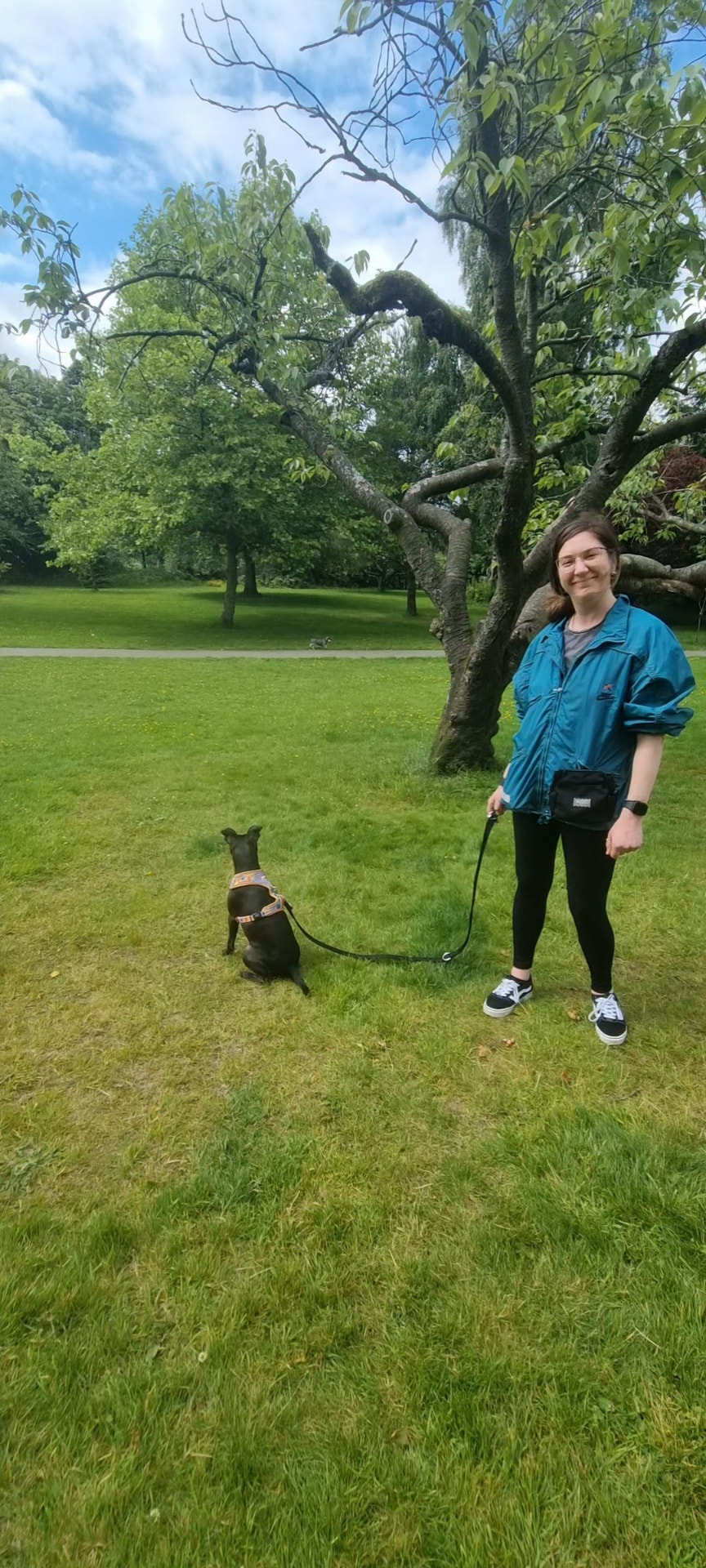 Owner working with her small black dog in a harness in lush green parkland near Glasgow