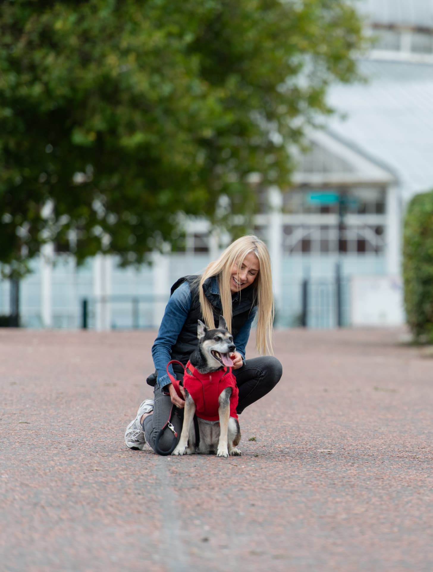 Behaviour consultant laughing with a dog during a positive reinforcement session in Glasgow