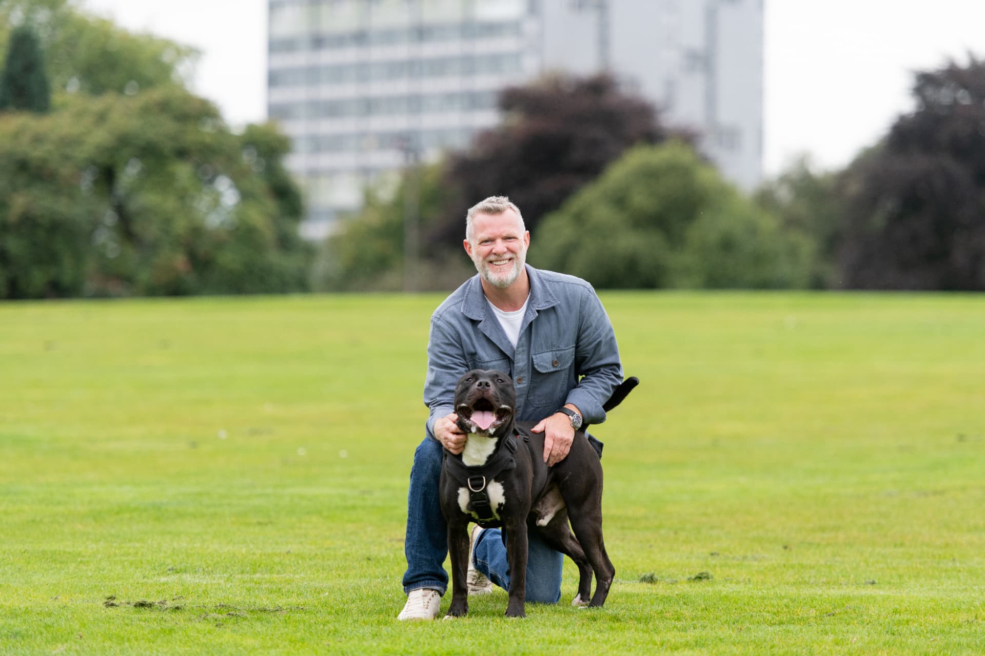 Behaviour consultant kneeling calmly with a black Labrador during a Glasgow session