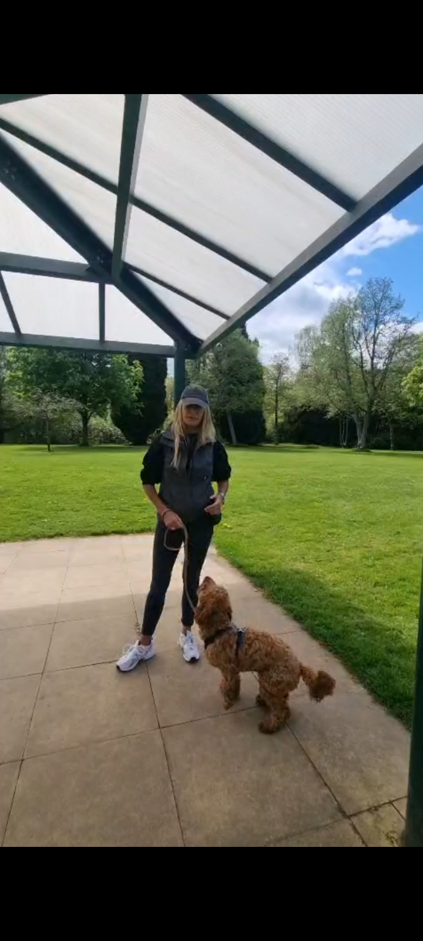 Owner working attention with a cockapoo under a glass-roofed shelter in Glasgow