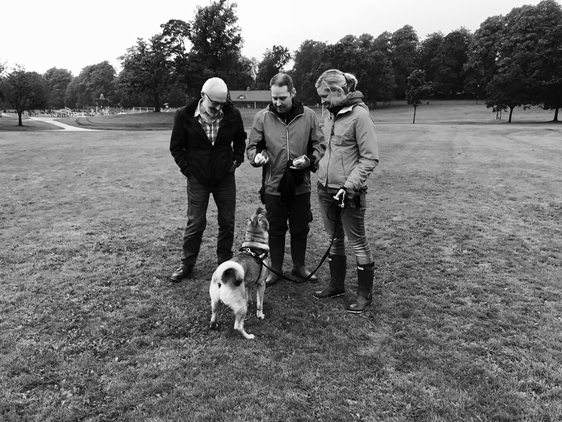 Black and white photograph of owners and their trainer watching a dog sit calmly in a Glasgow park
