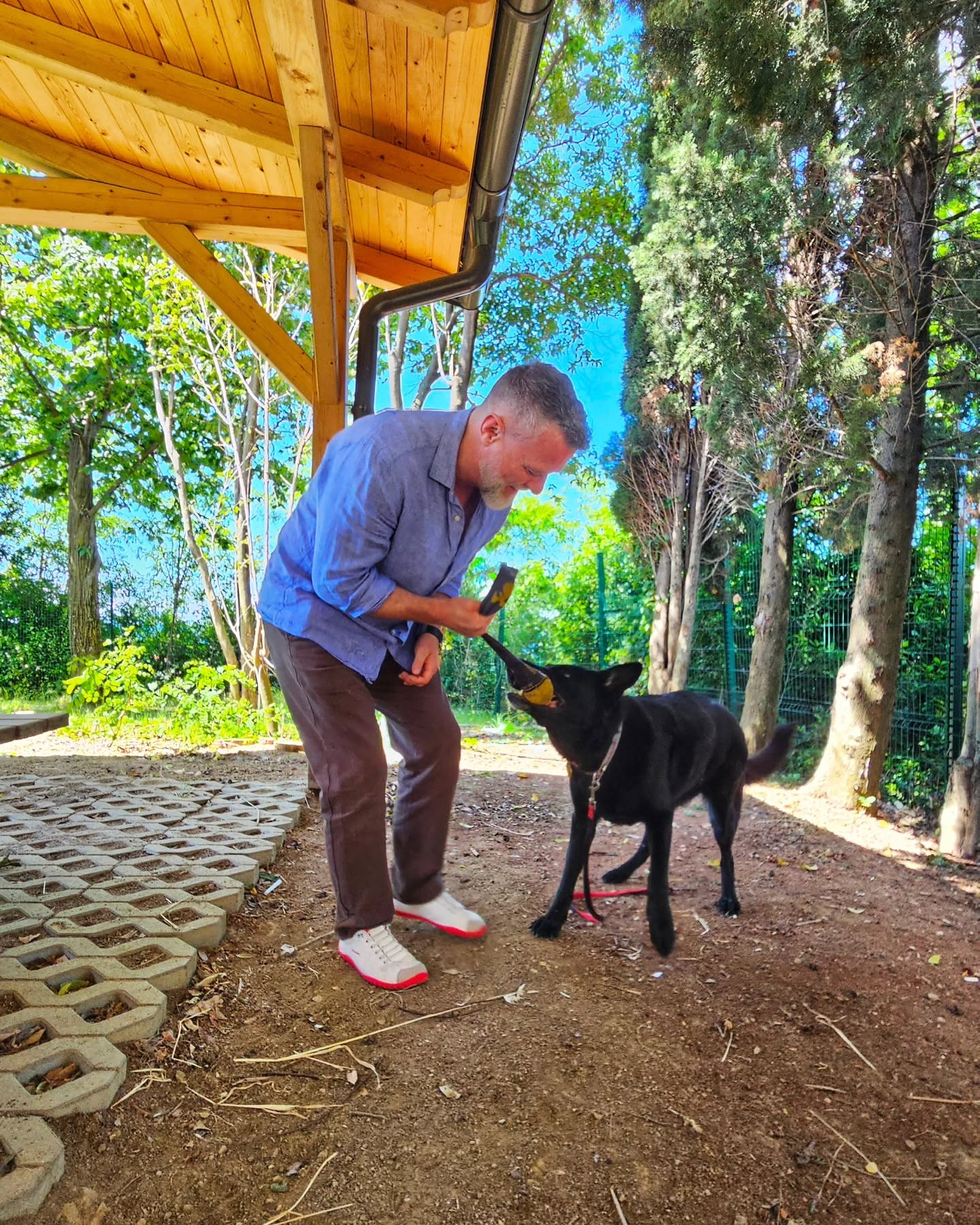 Trainer playing tug with a black dog to build engagement during a Glasgow session