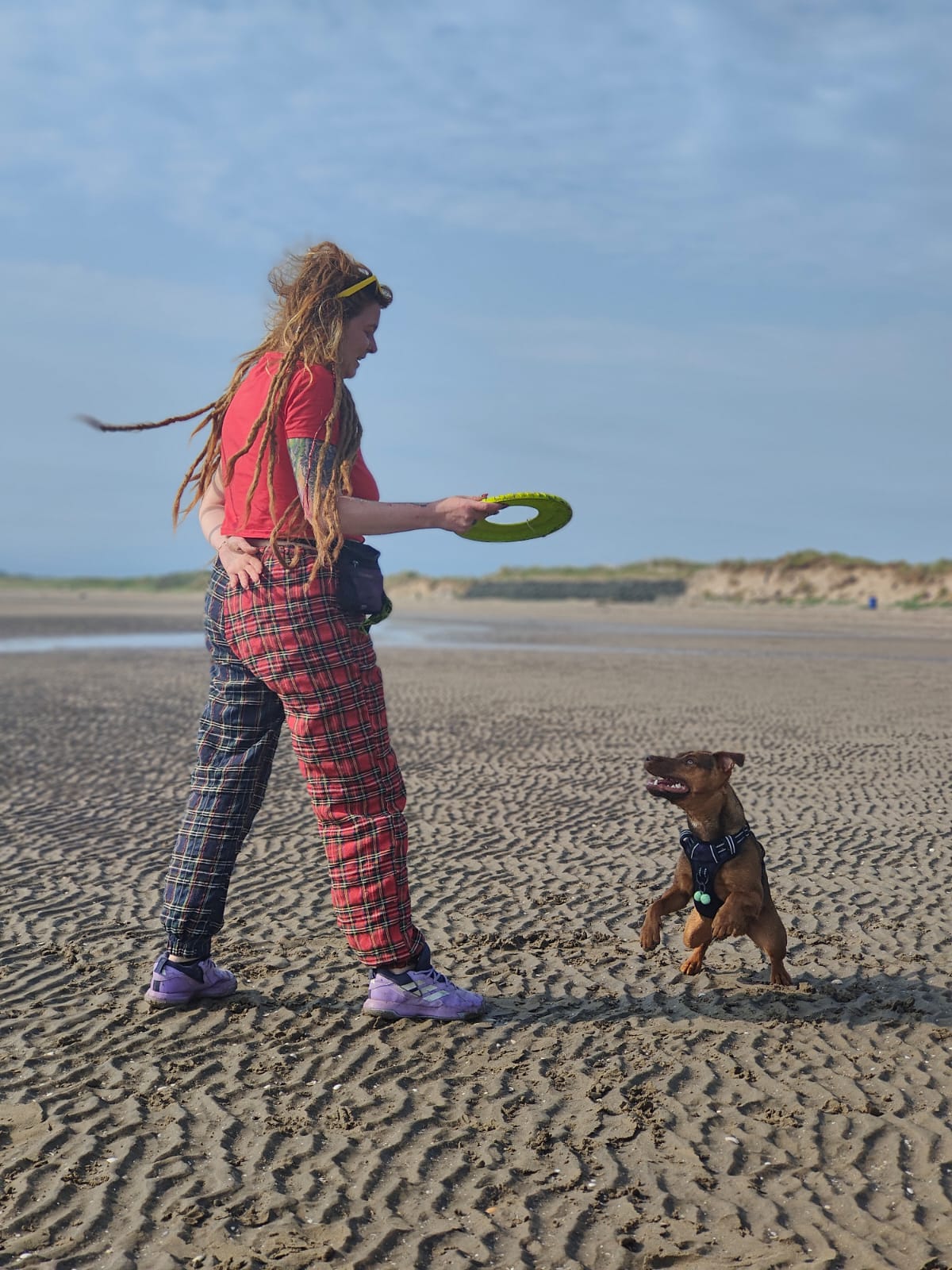 Handler playing frisbee with her dog on rippled sand at a west coast beach