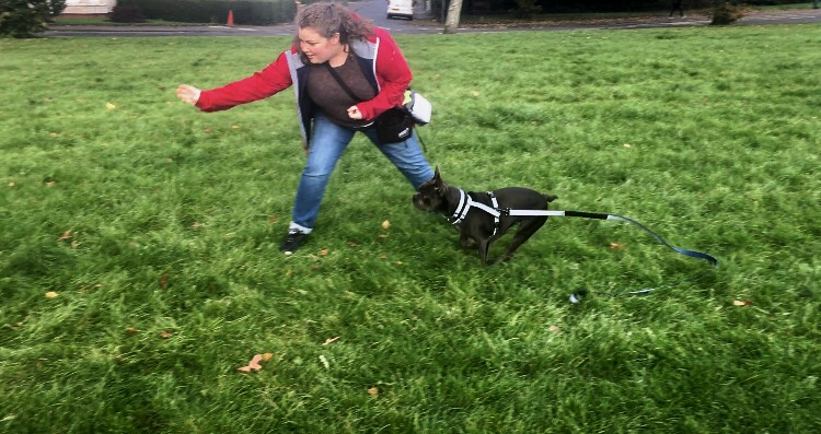 Owner in a red jacket training her small dark dog in a grassy Glasgow park