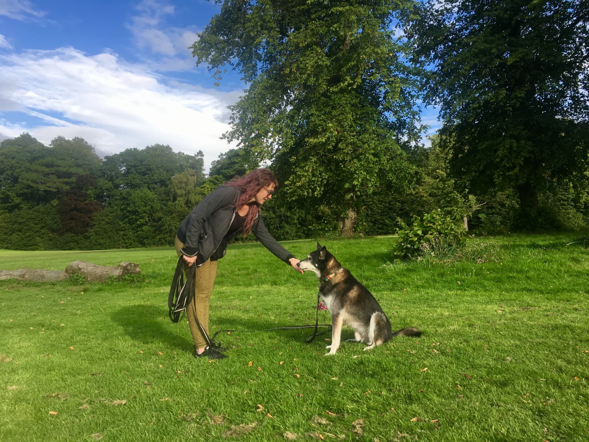 Owner rewarding her husky type dog for sitting during training in a Glasgow park