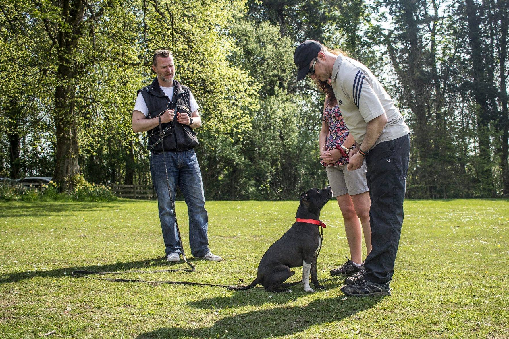 John McGuigan coaching two owners with a black staffie in Glasgow parkland