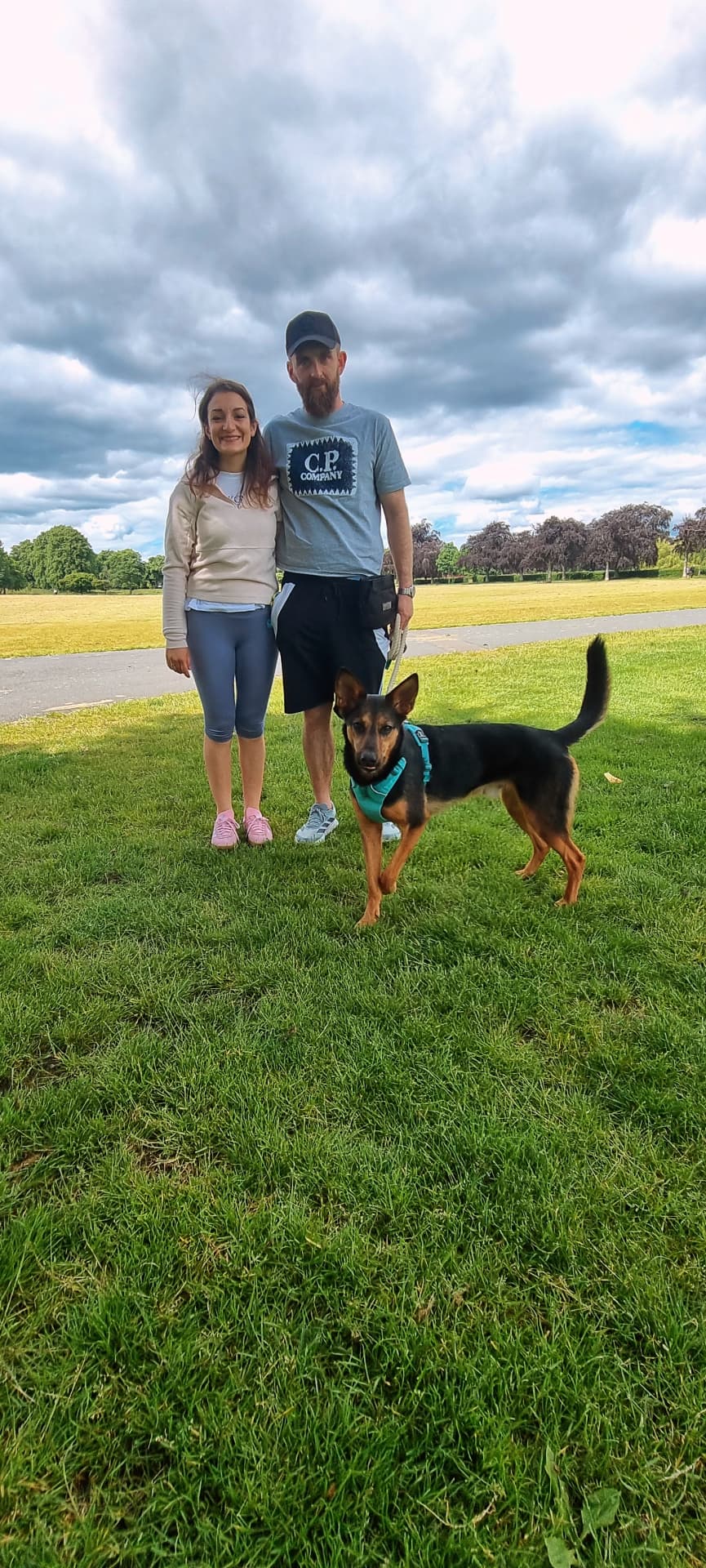 Couple standing with their kelpie type dog in a teal harness in Glasgow parkland