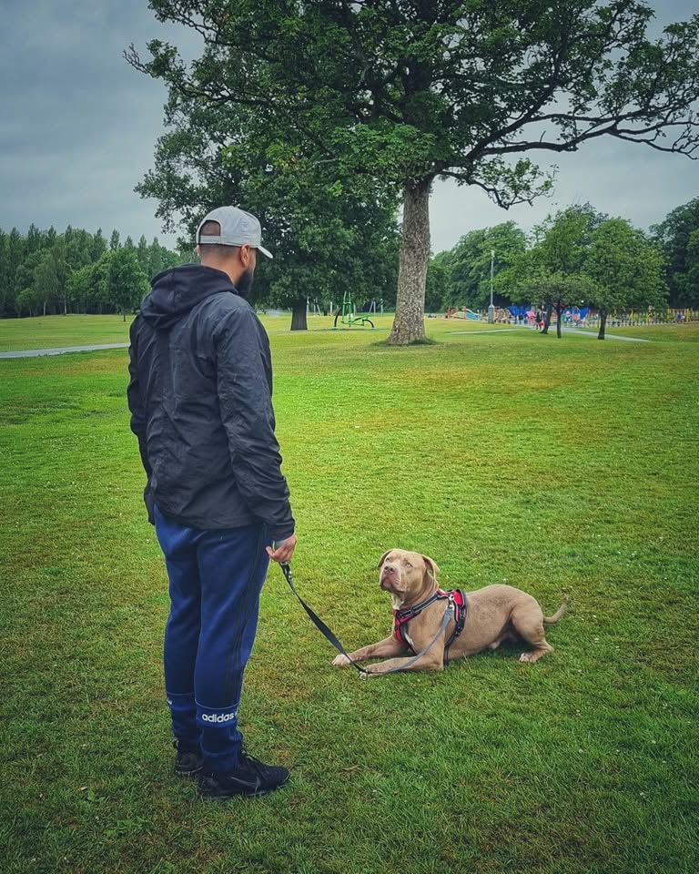 Owner and tan bully breed dog settled together in a Glasgow park