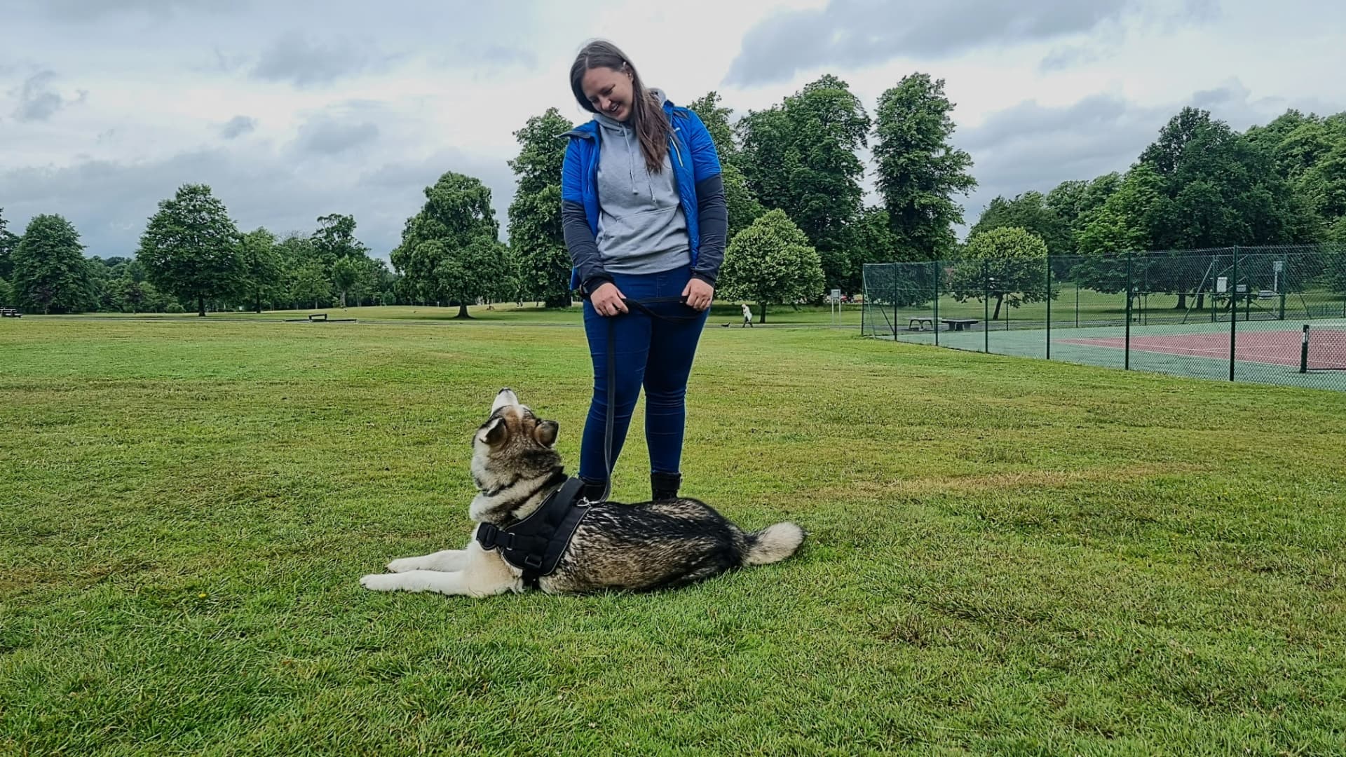 Owner watching her husky type dog settle on the grass during a training session in a Glasgow park