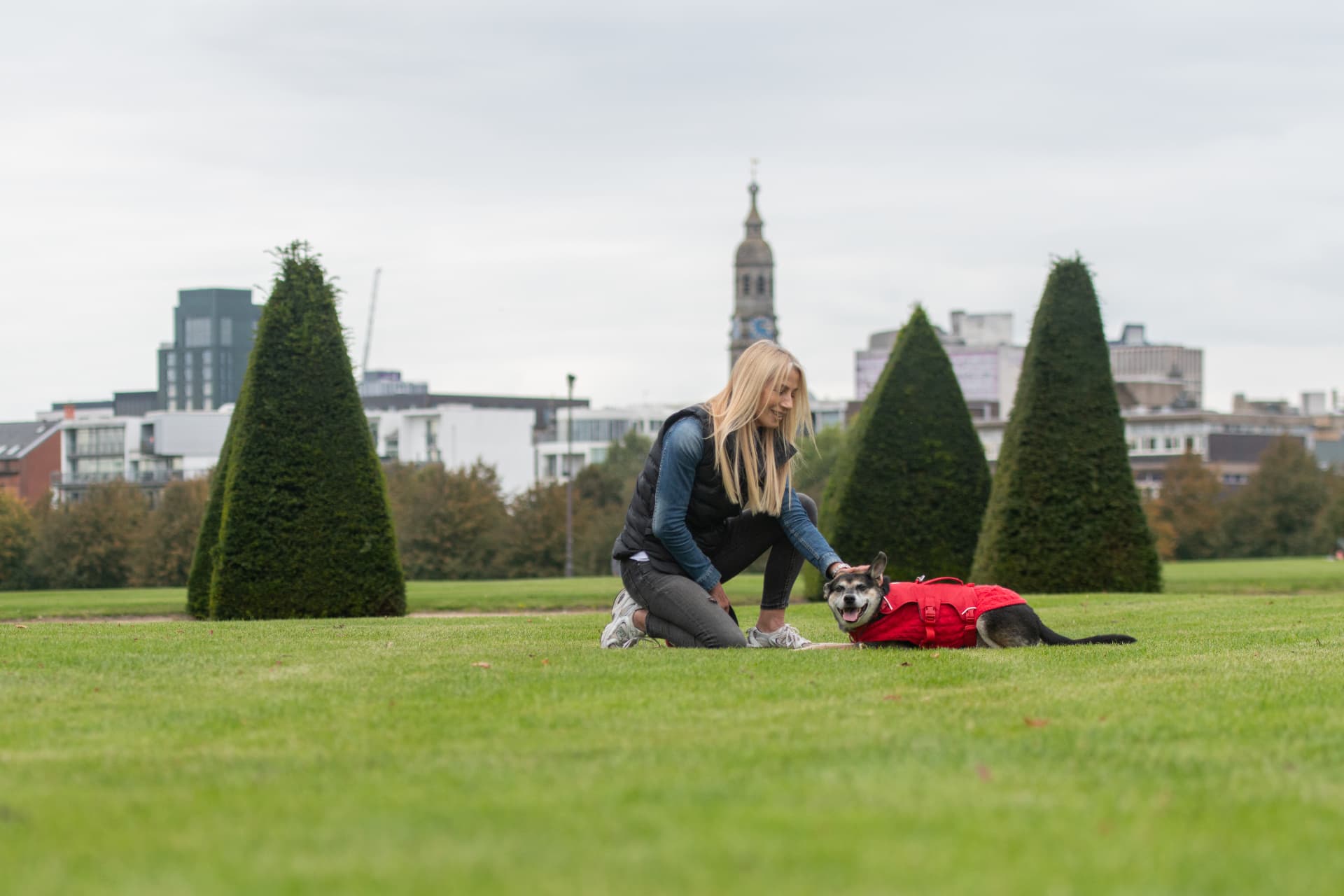 Dog relaxing on the grass with its handler during a Glasgow training session