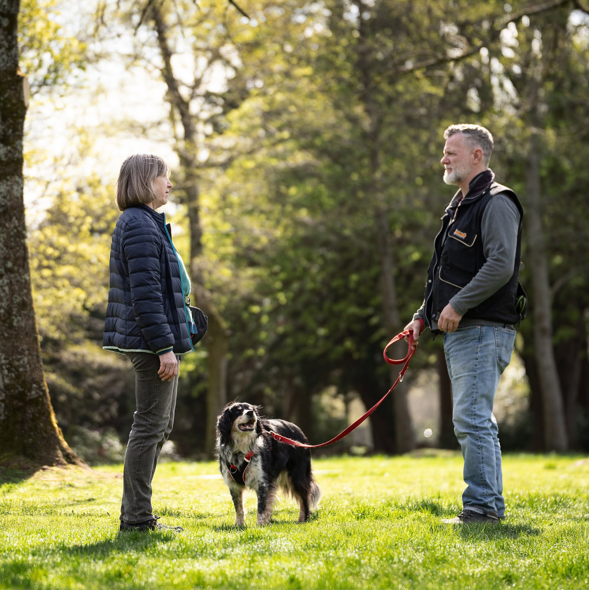 John McGuigan coaching an owner with a border collie on lead in a sunny Glasgow park