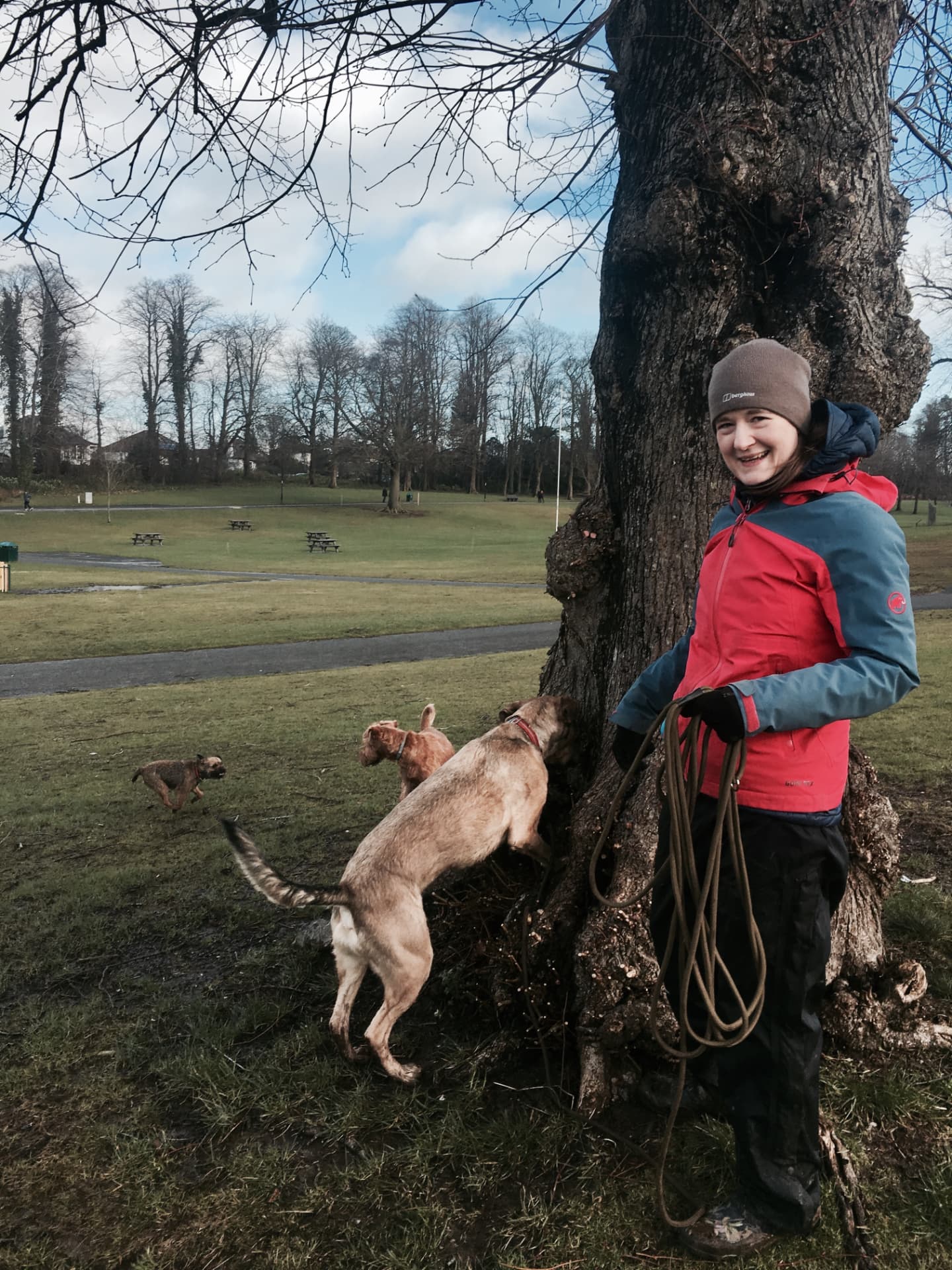 Owner standing with three dogs on a frosty winter walk in a Glasgow park