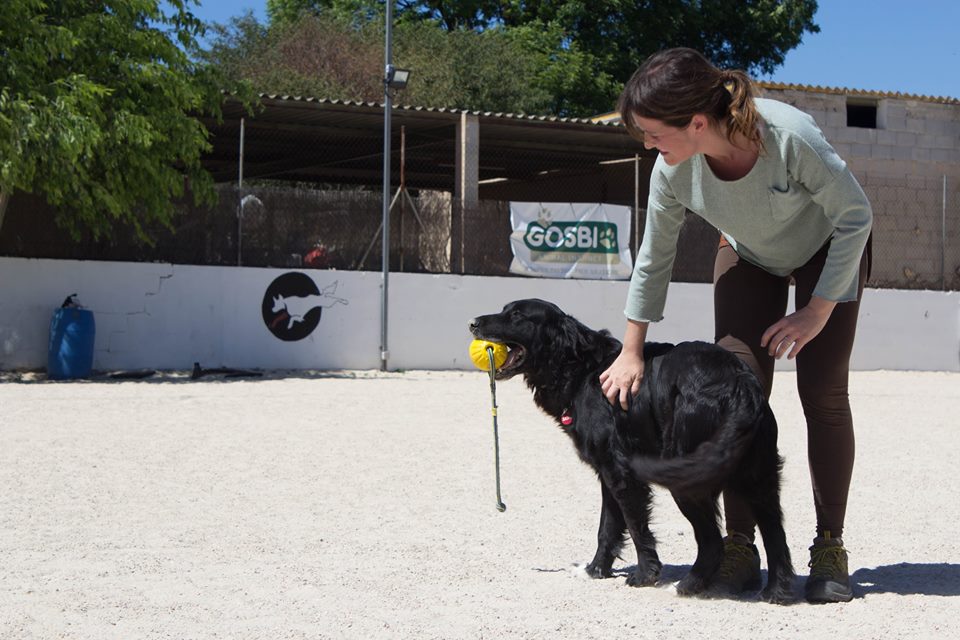 Reinforcement strategies - how and why