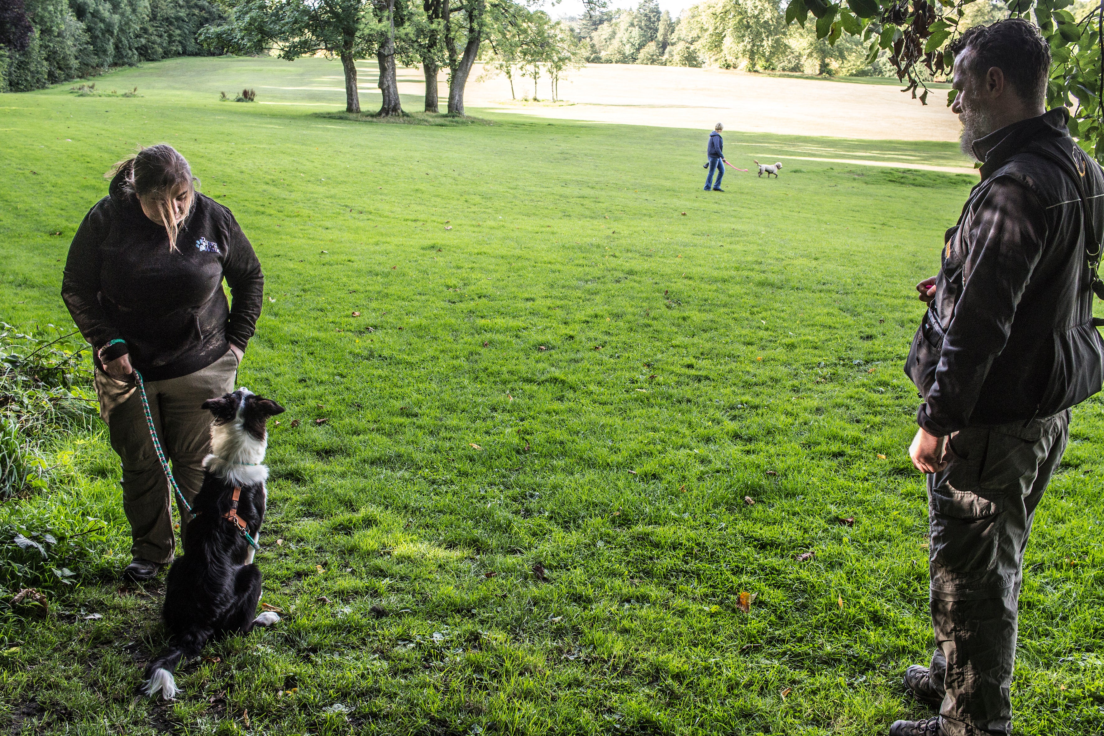 Dealing with Aggression in Dogs- 2 hour introduction