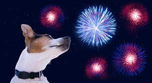 Dealing with Firework- and Sound-sensitive dogs