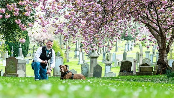 The Connected Canine Challenge - 15 days to deepen your dog&