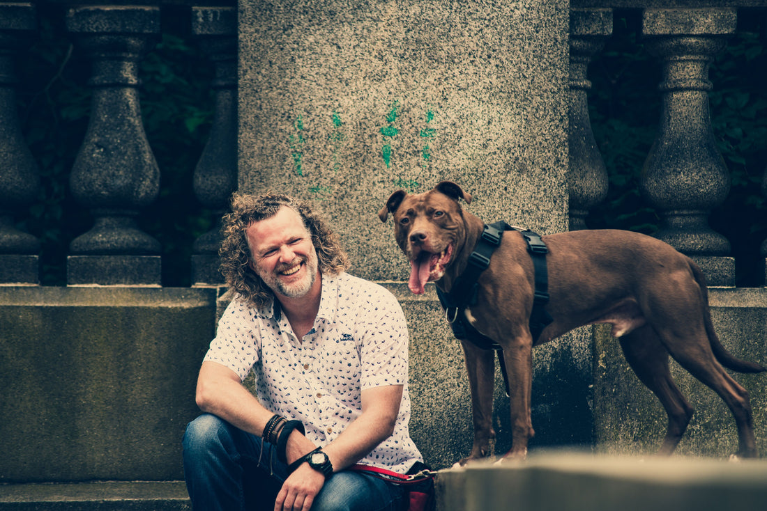 Mastery of dog training